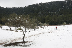 La borrasca Juliette pondr&aacute; en alerta por fr&iacute;o a m&aacute;s de 30 provincias y a Mallorca en riesgo extremo por nieve