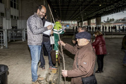 La campaña del árbol de Torrelavega repartirá 3.576 ejemplares