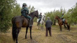 La campa&ntilde;a termina en Ja&eacute;n con m&aacute;s de 377.000 kilos de aceituna robada, un 62% recuperado y 10 detenidos