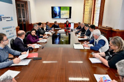 La comisión del Cabildo da luz verde a la hoja de ruta para la regeneración del barrio
