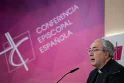 La Conferencia Episcopal delega en cada obispo la forma de proceder tras la autorizaci&oacute;n para bendecir a parejas gays