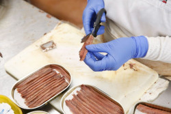 La conservera Atunlo despide en  Santoña, a 84 trabajadores