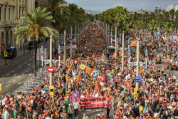 La defensa del catal&aacute;n y las cr&iacute;ticas al fallo del TSJC centran la Diada