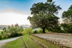 La encina de Colindres representará a España como candidata a mejor árbol de Europa 2023