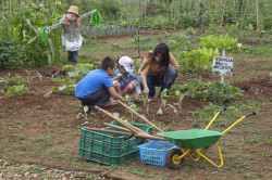 La Escuela de Medio Ambiente de Camargo celebra hoy una actividad para crear un jardín para insectos polinizadores