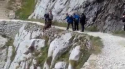 La fauna salvaje en España y en Cantabria, desprotegida