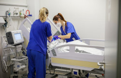 La Fe, primer hospital valenciano acreditado internacionalmente por la excelencia en la atención a mayores en Urgencias