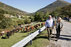 La Feria equina de Polaciones re&uacute;ne a 300 animales de 15 ganader&iacute;as de la zona