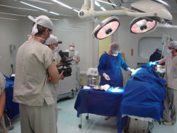 La funci&oacute;n de las c&eacute;lulas madre puede explicar la mayor tasa de c&aacute;ncer de colon en los hombres