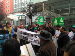  La ganadería de Cantabria  ignorada por los políticos