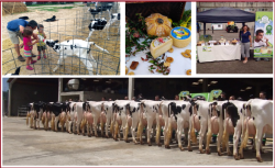 La Granja Cudaña, una empresa familiar con proyección…, por Pedro Arce Díez 