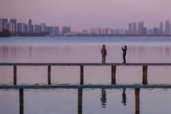 La guerrilla silenciosa, por el Dr. Alfonso Campuzano