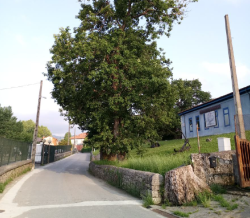 La ignorancia, por Clara Miranda Carmena