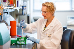 La inteligencia artificial resuelve un reto cient&iacute;fico de 50 a&ntilde;os que podr&iacute;a `revolucionar` la investigaci&oacute;n