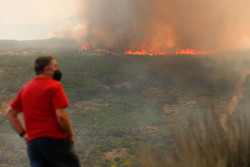 La Junta aplicar&aacute; el tope m&aacute;ximo de ayuda establecido para inversiones de pymes afectadas por los incendios
