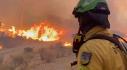 La Junta apunta al tendido el&eacute;ctrico como el posible origen del incendio forestal en Los Gallardos