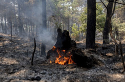 La mejora de la situaci&oacute;n de los grandes incendios activos en Espa&ntilde;a permite el fin de las restricciones en varias zonas