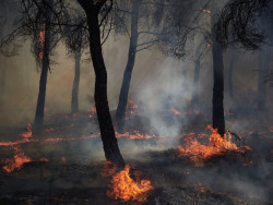 La N-621 permanece cortada entre Portilla de la Reina y Vejo por los incendios