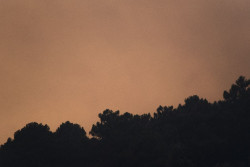 La ola de calor se prolongar&aacute; desde hoy hasta el domingo con calor muy intenso y peligro muy alto o extremo de incendios