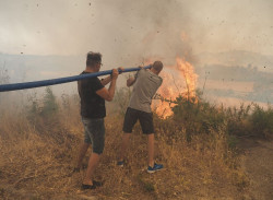 La ola de incendios en Espa&ntilde;a une a agricultores y ecologistas: "Un fuego se apaga en invierno con limpiezas de montes"
