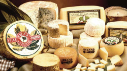 La Plaza Pombo acogerá la V Feria del Queso de Cantabria del 4 al 6 de agosto con 13 productores