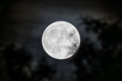 La superluna azul ilumin&oacute; la noche de Madrid, un fen&oacute;meno que no se repetir&aacute; hasta 2037