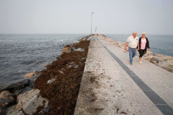 La temperatura suben este martes y alcanzar&aacute;n 26&ordm;C en Murcia, a la espera de la llegada de un frente al noroeste