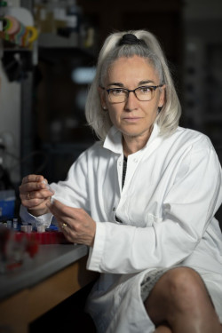 La UIMP celebra este martes el acto de investidura como doctora honoris causa a la bióloga Eva Nogales