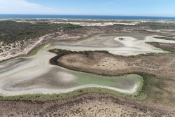 La &uacute;ltima laguna permanente de Do&ntilde;ana se seca por la sequ&iacute;a y la sobreexplotaci&oacute;n de acu&iacute;feros, seg&uacute;n el CSIC