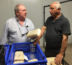 La única quesería de Torrelavega…, por Pedro Arce Díez