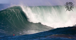 La Vaca Gigante podría celebrarse la próxima semana