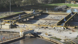 La variante &Oacute;micron desplaza casi por completo a la Delta en las aguas residuales, seg&uacute;n el MITECO