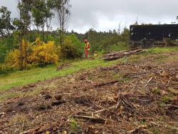 La Xunta ofrece a due&ntilde;os de fincas plantas espec&iacute;ficas para sembrar en franjas secundarias para evitar incendios