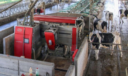 Las ayudas de Cantabria por 6 millones para modernizar explotaciones agrarias se podrán solicitar desde el 2 de enero