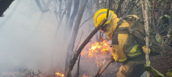 Las brigadas de refuerzo de incendios forestales participar&aacute;n en labores preventivas durante el invierno