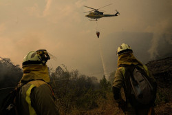 Las CCAA despliegan sus primeras ayudas tras los incendios centradas en viviendas, vi&ntilde;edos, pasto para ganado y pymes