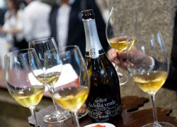 Las exportaciones de vino caen un 2,1% en el primer semestre, hasta 1.444,7 millones