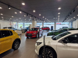 Las matriculaciones de turismos en Cantabria crecieron en 2024 un 8,56%, rozando las 7.500 unidades