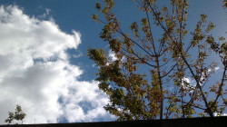 Las temperaturas m&aacute;ximas subir&aacute;n este martes en general, acompa&ntilde;adas de fuertes vientos en el Estrecho y el Ampurd&aacute;n