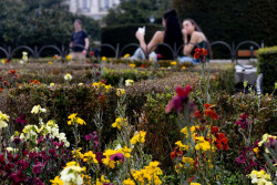 Las temperaturas se recuperan y ser&aacute;n altas para la &eacute;poca a partir de ma&ntilde;ana, con m&aacute;s de 10&ordm;C m&aacute;s de lo normal