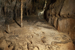 Las &uacute;ltimas investigaciones en La Garma se presentan ma&ntilde;ana en el Museo Nacional de Arqueolog&iacute;a