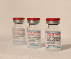  Las vacunas de Moderna y Pfizer producen hasta 100 veces m&aacute;s anticuerpos que la de Janssen, seg&uacute;n un estudio