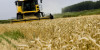 Los agricultores y ganaderos c&aacute;ntabros cobrar&aacute;n hasta el 30 de noviembre 15,9 millones del anticipo de la PAC