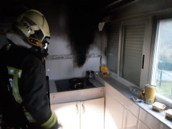 Los bomberos rescatan a un perro y un gato  de Ramales
