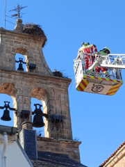  Los bomberos retiran un nido de cig&uuml;e&ntilde;a con riesgo de ca&iacute;da de un campanario de Reinosa