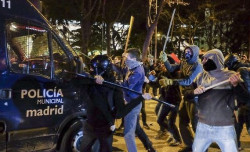 Los "cachorros" de la izquierda..