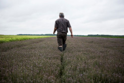 Los cambios en el uso del suelo pueden aumentar los riesgos de brotes de enfermedades