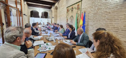 Los caminos de Sevilla al Roc&iacute;o contar&aacute;n con nidos de drones, nuevas c&aacute;maras y una web del Plan Romero 2025