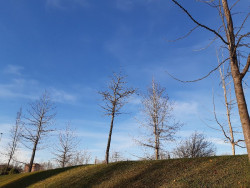 Los cielos poco nubosos predominar&aacute;n este domingo con nieblas en la meseta norte