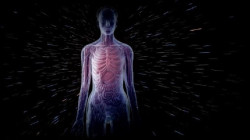 Los efectos de los rayos c&oacute;smicos gal&aacute;cticos en los astronautas se puede estudiar en la Tierra gracias a la NASA